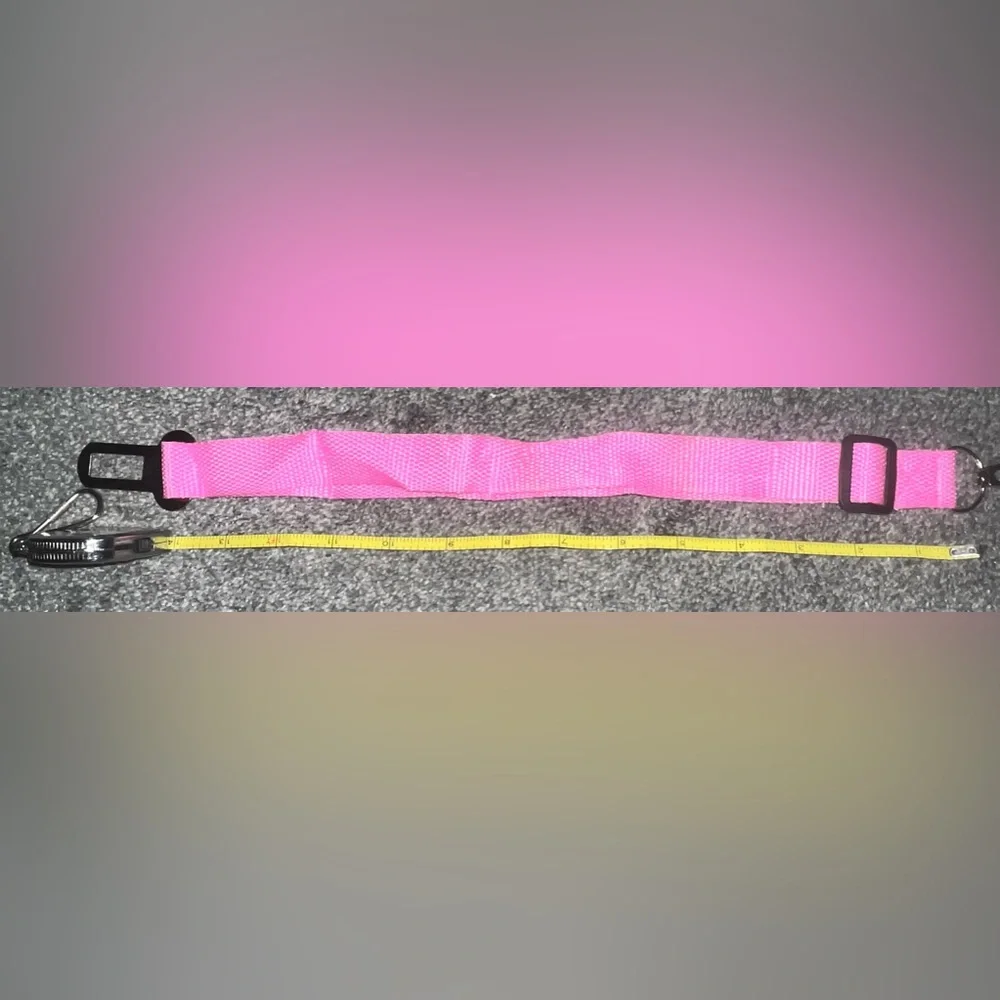 *BRAND NEW/ NEVER USED* Hot Pink Dog Collar / Seatbelt Buckle